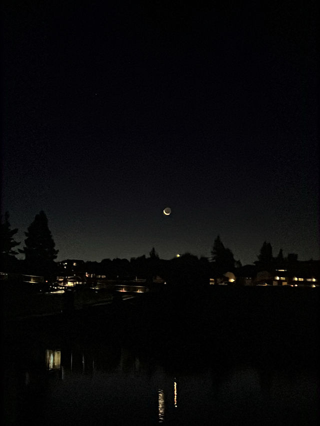 念願のTekapo⛪️⭐️ルピナスが咲き誇ってた! 念願のTekapo⛪️⭐️ルピナスが咲き誇ってた!