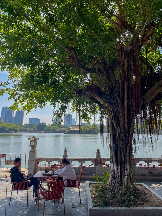 주해 여행에서 꼭 가야할 곳⭐️ 주해 여행에서 꼭 가야할 곳⭐️