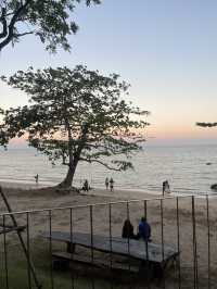 เที่ยวบ้านต้นไม้ริมทะเล ใกล้สนามบินชุมพร 