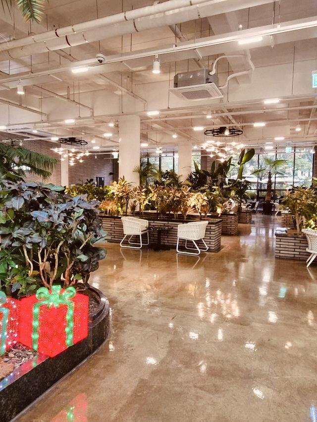 The Grand Indoor Christmas Forest