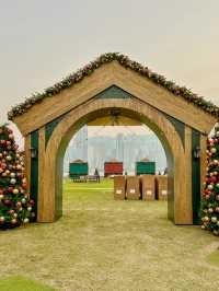 Cerulean Tides and Twinkling Lights: A Harbourfront Christmas