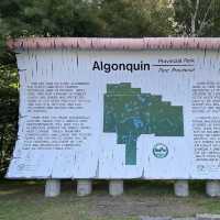 Algonquin Provincial Park – Ontario’s Legendary Wilderness Escape