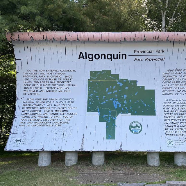 Algonquin Provincial Park – Ontario’s Legendary Wilderness Escape Algonquin Provincial Park – Ontario’s Legendary Wilderness Escape