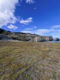 新西蘭隱世美景🌊神秘隧道海灘Tunnel Beach荒野打卡攻略