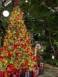 겨울 숲의 온기를 머금은 한 장면 ✨, 트리브링