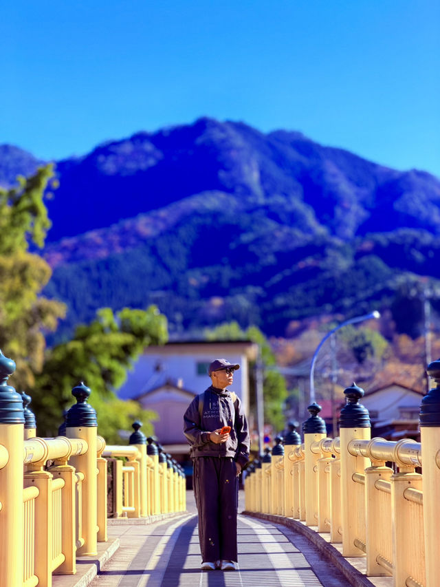 天岩戶神社 天岩戶神社