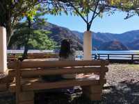 東京周邊小眾秘境｜奧多摩湖四季絕景攻略🍁