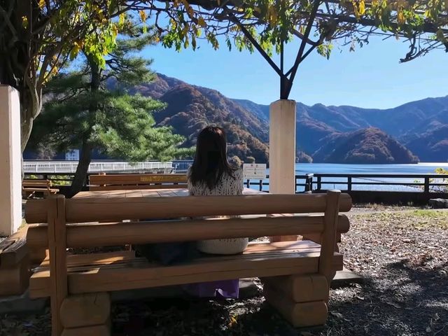 東京周邊小眾秘境｜奧多摩湖四季絕景攻略🍁