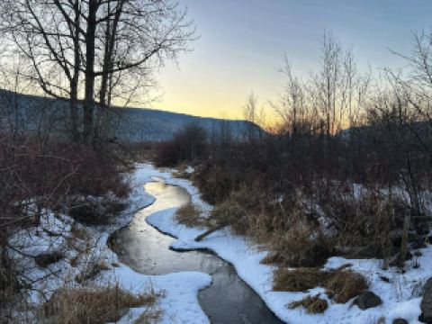 Fraserwood, 150 Mile House BC, Williams Lake—an ultimate winter adventure begins here! Trees and lakeshores enveloped in snow, along with frozen rivers and distant snow-capped mountains, every scene is worth stopping to capture with your camera. The stark yet captivating natural beauty is unforgettable. This route is perfect for those who love tranquility, nature, and photography, allowing you to enjoy a pristine white world and find peace of mind.

🌨️Main Theme: Featured Snowscapes

First Stop: Fraserwood

