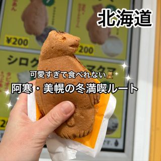 ❄️【阿寒・美幌】冬の北海道を満喫！食べて祈って、自然に触れる黄金ルート 🌲🧸⛩️