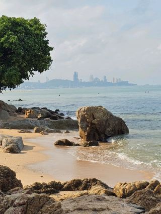 หาดลับของฉันในพัทยา: หาดไผ่ 🌴🥥
ลืมเสียงมอเตอร์ไซค์และเก้าอี้อาบแดดที่เรียงรายไปได้เลย ที่นี่เวลาราวกับจะช้าลง หาดไผ่เป็นสถานที่ที่ป่ามาบรรจบกับทะเล และแทนที่จะเป็นคลับหรูหรา ที่นี่กลับมีคาเฟ่ไม้ไผ่บรรยากาศอบอุ่น
ทำไมต้องมาที่นี่?
ร่มเงาและความสะดวกสบาย: ต้นไม้เติบโตเกือบถึงริมน้ำ คุณจึงสามารถพักผ่อนได้โดยไม่ต้องใช้ร่ม
บรรยากาศแบบเกาะ: ชิงช้าไม้ เปลญวน และเสียงคลื่น ให้ความรู้สึกเหมือนอยู่บนเกาะพะงัน ไม่ใช่ในเมืองใหญ่
อาหาร: ที่นี่เสิร์ฟส้มตำและอาหารทะเลรสเลิศในราคาที่สมเหตุสมผล
📍 ตั้งอยู่ในย่านนาเกลือ (ซอยนาเกลือ 16) คุณต้องเดินผ่านป่าเล็กๆ และลงไปที่ทะเล
หากคุณกำลังมองหาสถานที่สงบในพัทยา ที่นี่คือที่สำหรับคุณ บันทึกสถานที่นี้ไว้ก่อนที่มันจะแออัดเกินไป! ✨
#หาดไผ่ #ความลับพัทยา #Pattaya2026 #ประเทศไทย #ThailandVacation #นาเกลือ