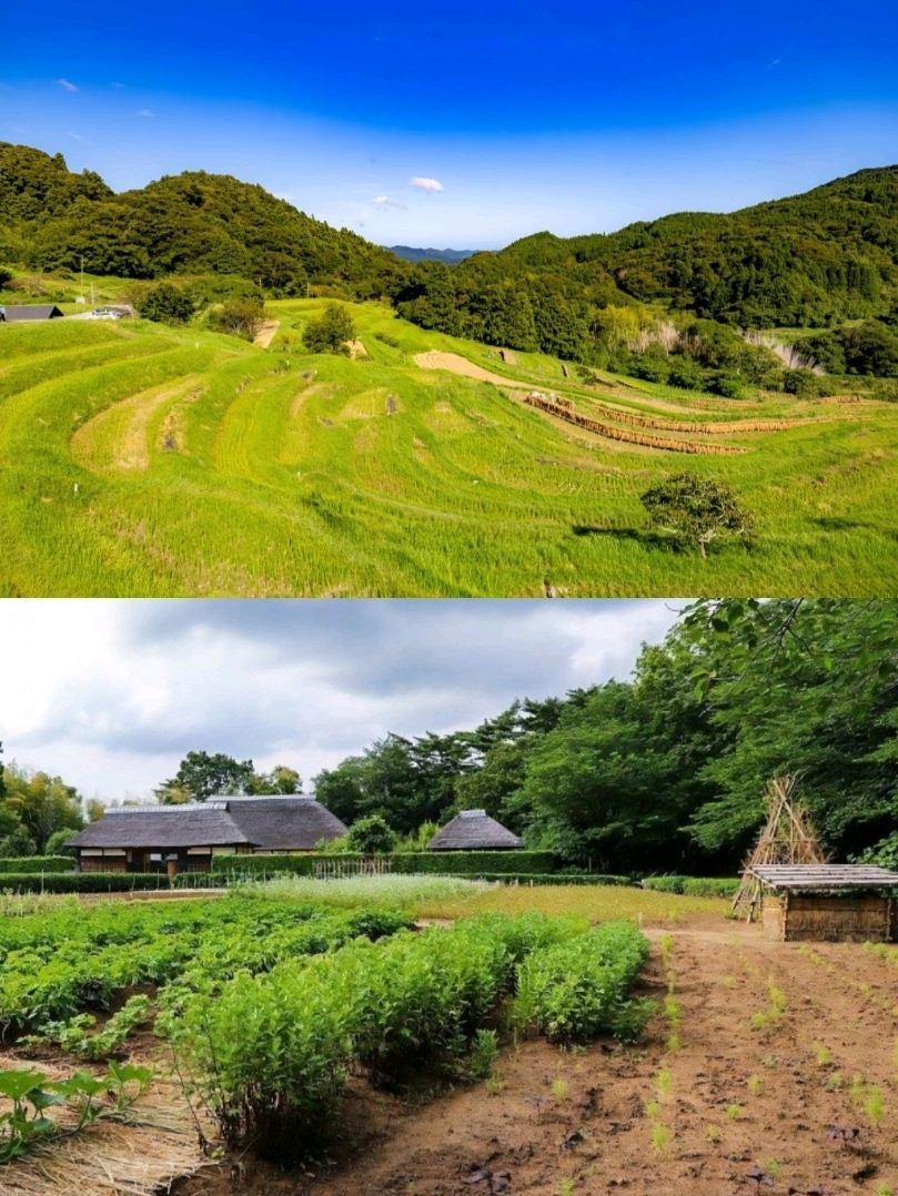 A Relaxing Spot in Narita, Boso-no-Mura (Chiba's Traditional