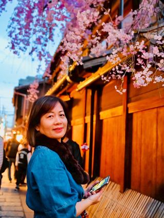 Kyoto Shirakawa Cherry Blossoms