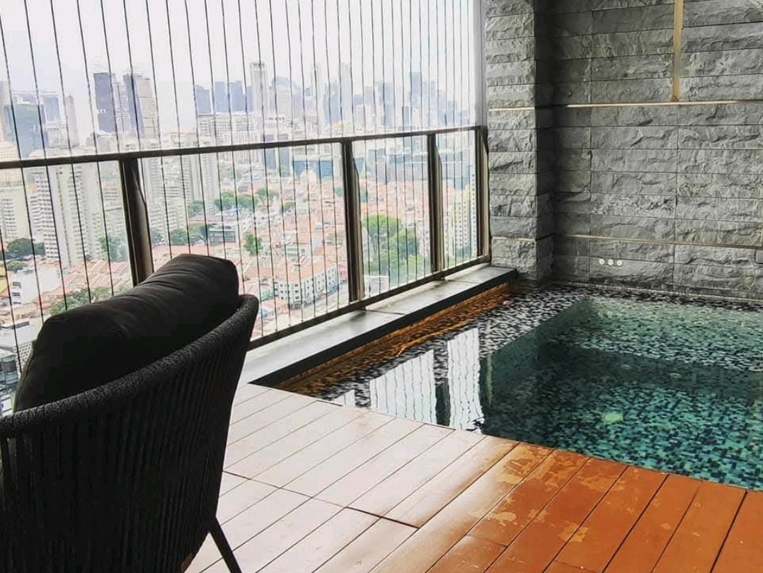 Singapore - Luxury Private PLUNGE POOL in  - 圖 6
