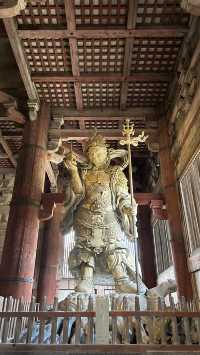 世界最大木造建築 日本三大佛 - 東大寺