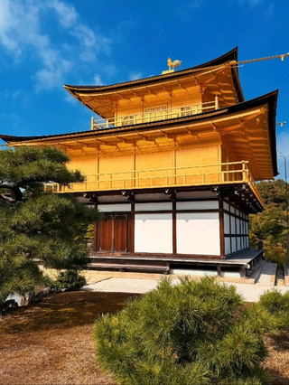京都 — 金色倒影與木質寧靜之間