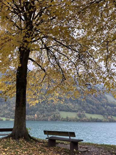 私の心を完全に奪ったスイスの村🇨🇭💚 | ルンゲルン✨ | Trip.com