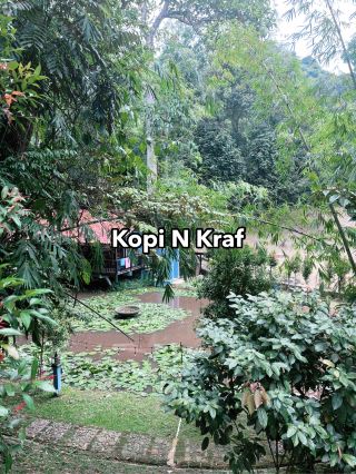 Kopi N Kraf: My Unexpected Tea Break 🌿☕
