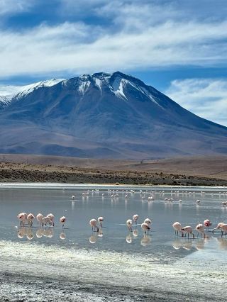 Walking on Sky: The Ultimate Guide to Backpacking Salar de Uyuni