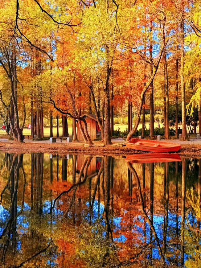 There is something quietly captivating about Nanjing in autumn.

As the temperatures cool, the city's abundant greenery begins to change colour, bringing golden leaves and warm autumn tones to its historic landscapes. Ancient walls, temples, gardens and lakes become beautifully intertwined with the season.

The slopes of Purple Mountain are especially atmospheric, with woodland paths winding beneath changing foliage. At Linggu Temple, centuries-old buildings sit among towering trees, while Xuanwu Lake offers peaceful views where autumn colours meet the water.

Autumn also reveals a more intimate side of the city. A fallen leaf on an old stone path, sunlight passing through a canopy, or reflections beneath a quiet bridge can be just as memorable as a grand panorama.

📍 Nanjing, Jiangsu, China 🇨🇳

📸 Photography Tip: Use foreground foliage to frame historic structures and create depth. Reflections at Xuanwu Lake can add symmetry, while low-angle shots beneath the trees capture the changing canopy overhead.

✨ Signature Feeling: Golden foliage, ancient landmarks and the gentle atmosphere of a Jiangnan autumn.

Nanjing in autumn is not simply a change of colour — it is a change of mood.