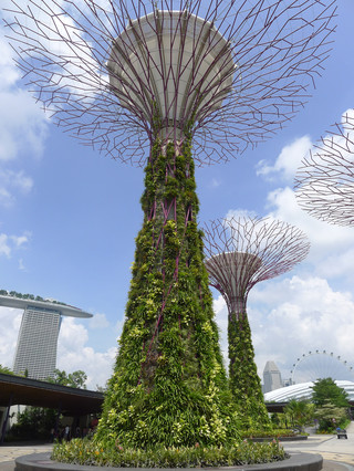 Must-see attraction in Singapore - Gardens by the Bay