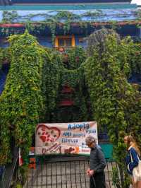 Come to visit El Barrio Antiguio