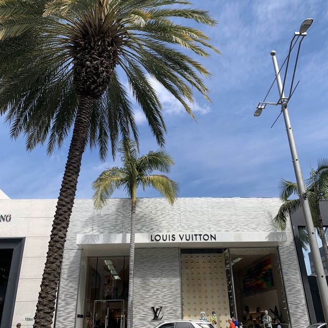 Brandname Shopping Street in La