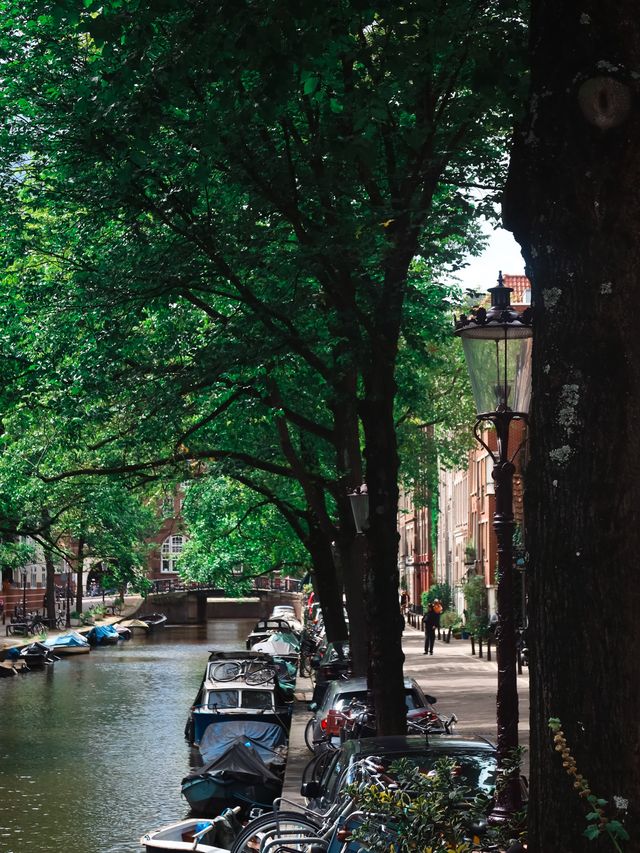 Canals in Amsterdam, The Netherlands🇳🇱📌