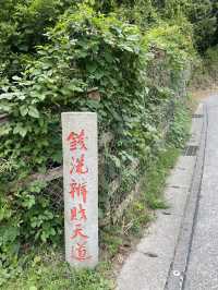 【鎌倉市🇯🇵 銭洗弁財天 宇賀福神社】お金を洗うとお金が増える？！金運・財運にご利益がある神社