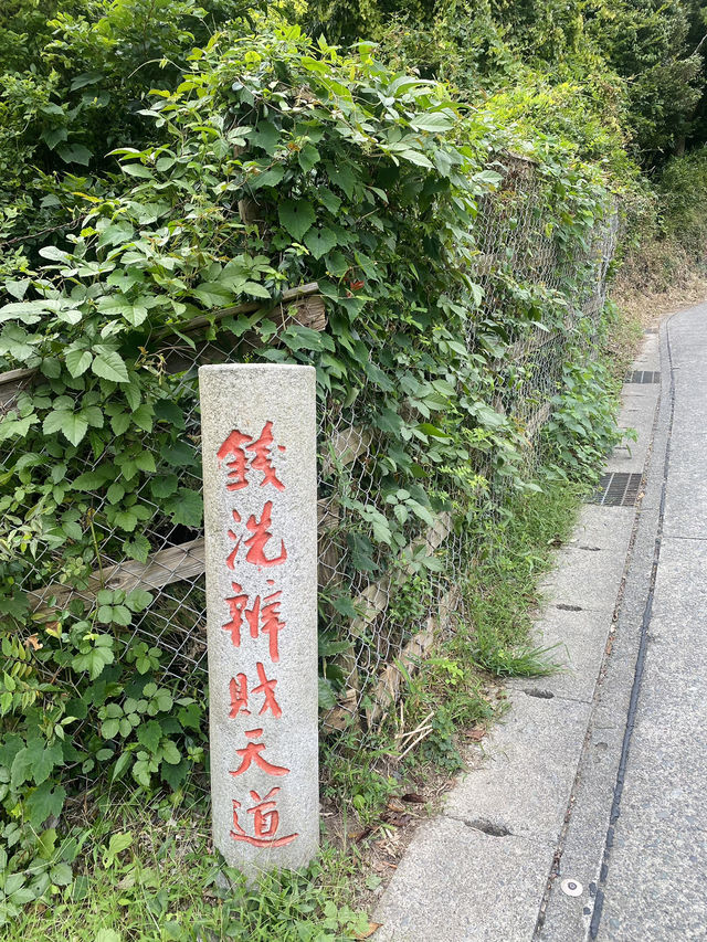 【鎌倉市🇯🇵 銭洗弁財天 宇賀福神社】お金を洗うとお金が増える？！金運・財運にご利益がある神社