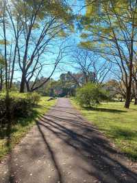 水元公園