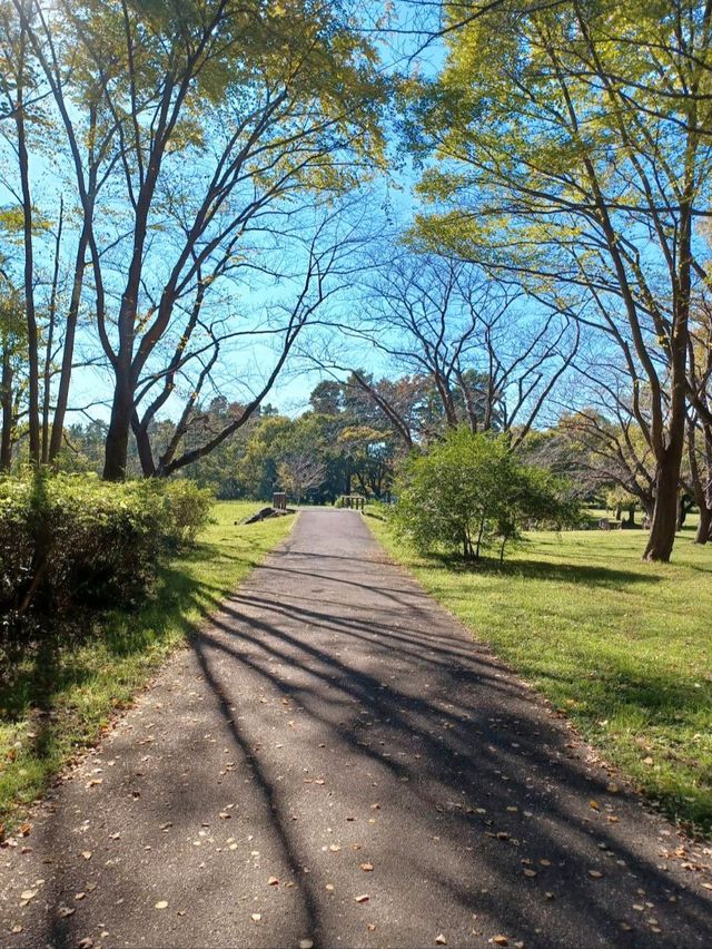 水元公園