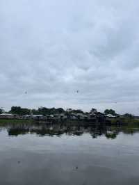 🇵🇪アマゾン川の大自然を体感🦥🦜🐒イキトス発アマゾンツアー