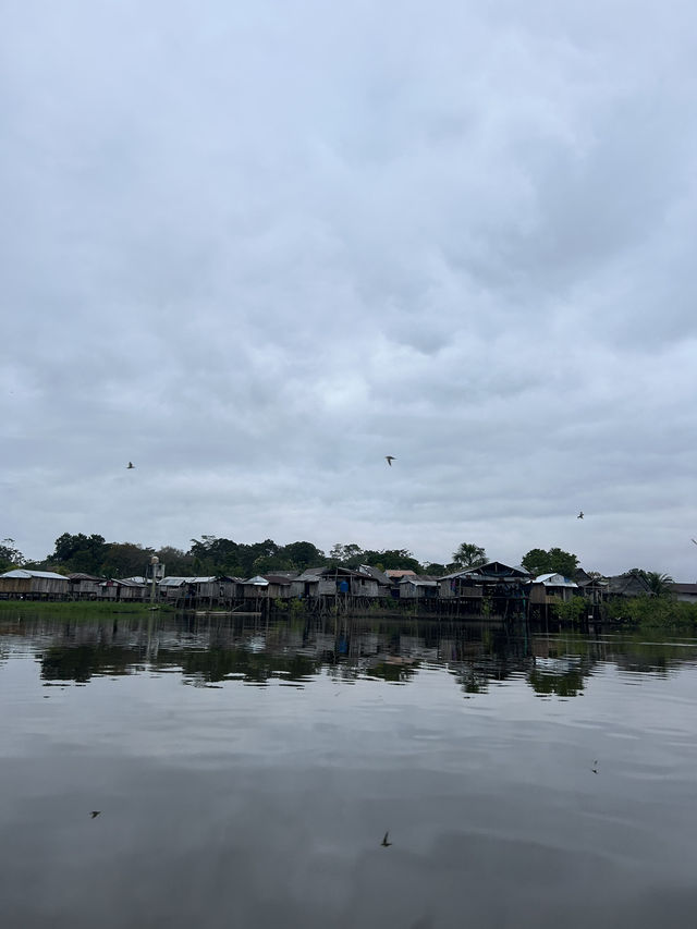 🇵🇪アマゾン川の大自然を体感🦥🦜🐒イキトス発アマゾンツアー