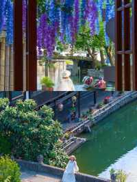 I visited Shaoxing... The romance of Jiangnan water towns