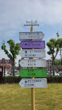 🌸🎥 Shanghai Film Park & the Magic of Blooming Shanghai 🌸🎥