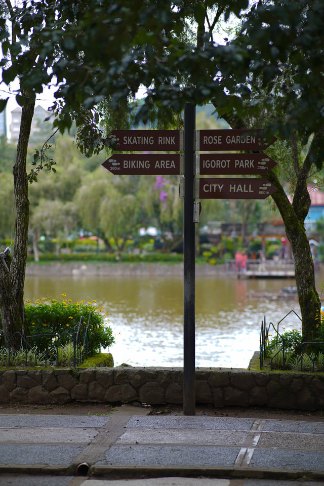  Late Afternoon at Burnham Park, Baguio