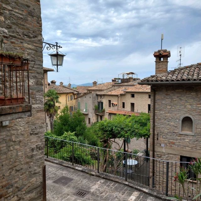 Beautiful Montone 