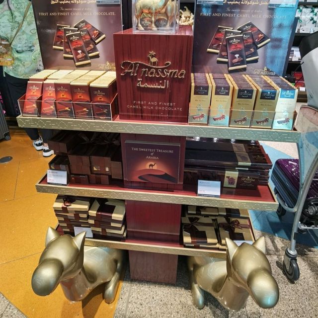 最大歐洲轉機 Hub～DXB T3