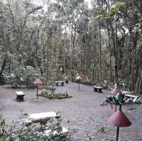 Visit Hummingbird gardens Costa Rica 