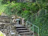 Tobernalt Holy Well 🗺️ Ireland