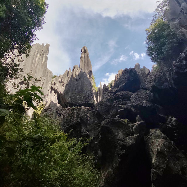 Kunming’s Karst Stone Forest 