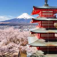 Sakura Spectacle: Tokyo's Blossom Ballet!🌸