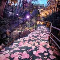 🌸東京椿山莊酒店🌸酒店庭院堪稱絕景