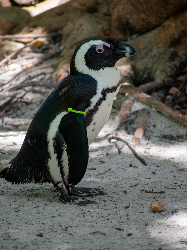ZooTampa at Lowry Park 🇺🇸 ZooTampa at Lowry Park 🇺🇸