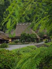 Kayabuki No Sato