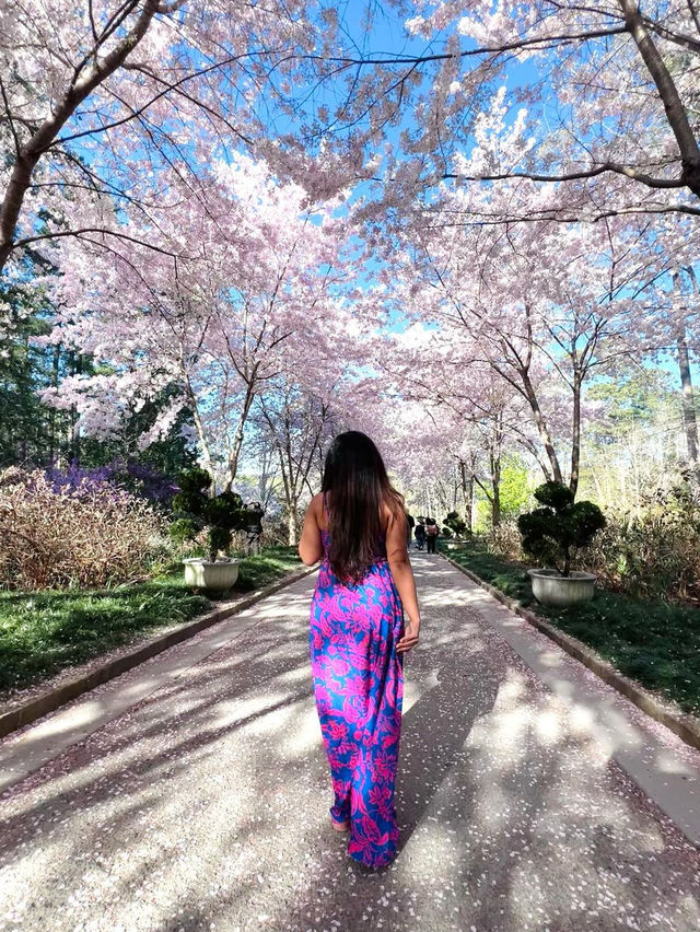 Sarah P. Duke Gardens
