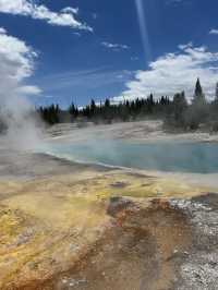 Yellowstone 🌴🏕️