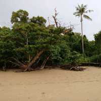 Day Trip to Krabi