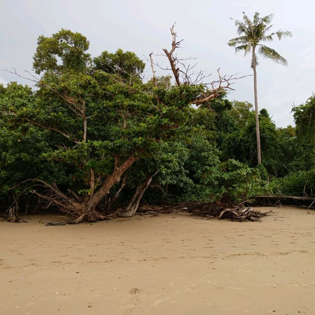 Day Trip to Krabi